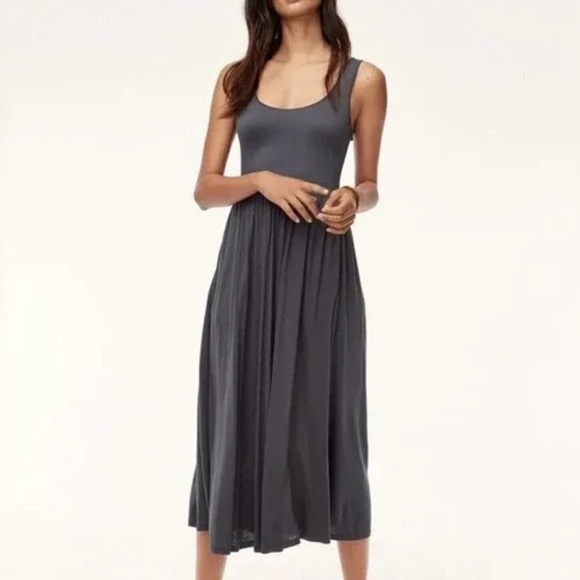 Aritzia Dresses & Skirts - Aritzia Wilfred Market Dress